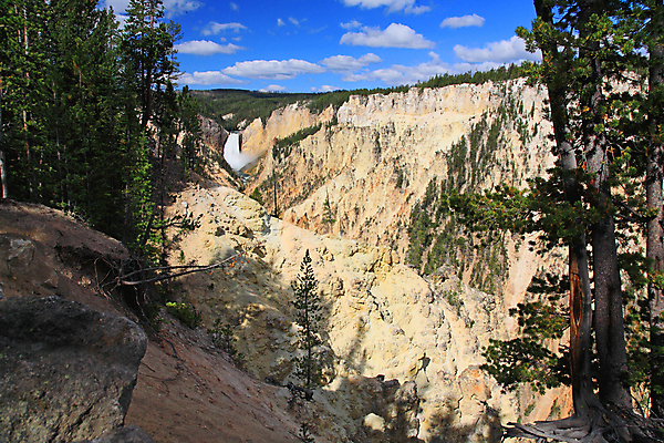 포토 JPG 해외이미지 나무 공원 여행 자연 휴가 산 풍경 사람없음 야외 가로 초록색 물 여름 파란색 강 노란색 골짜기 계곡 미국 폭포 흐름 소나무 개울 떨어짐 큼 부식 예술가 상록수 서쪽 와이오밍 전국 현재 해외202004 해외포토 자연요소 식물 계절 공공시설 컬러 컨셉 북아메리카 크기 방향 생태계 파일형식 이미지허브
