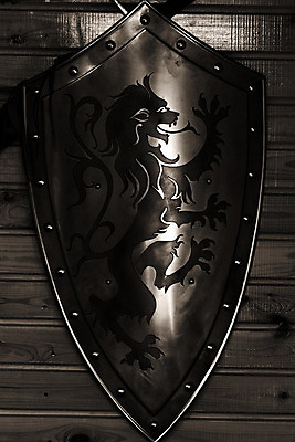 포토 JPG 해외이미지 사람없음 금속 어둠 수확 용 중세 보호 사자 사인 부식 보안 배지 방패 갑옷 고딕 그런지 옛날 해외202004 해외포토 컨셉 농업 포유류 재질 안전 역사 보호장비 파일형식 이미지허브