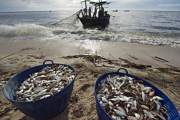 포토 JPG 해외이미지 직업 전통 산업 아시아 음식 모래 바다 여행 비즈니스 낚시 어류 사람없음 물 경제 빛 판매 신선 잡기 만 업무 그물 보트 가난 해산물 무역 낚시꾼 지역 모음 매각 많음 해외202004 해외포토 자연요소 나라 컨셉 배_교통 모션 레저 수중동물 작업 파일형식 이미지허브