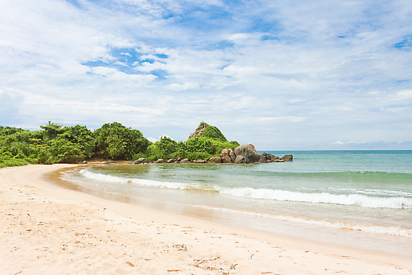 포토 JPG 해외이미지 식물 구름 아시아 야생동물 모래 바다 여행 잎 자연 하늘 휴가 휴식 풍경 사람없음 물 여름 햇빛 평화 맑음 자유 만 황무지 순수 즐거움 천국 빛망울 스리랑카 해외202004 해외포토 자연요소 동물 계절 감정 나라 컨셉 날씨 빛 태양 생태계 파일형식 이미지허브
