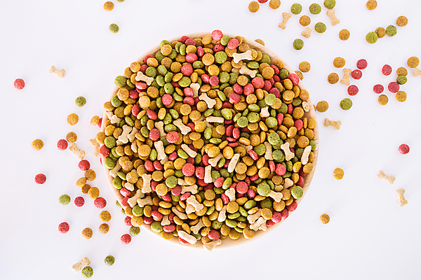 포토 JPG 해외이미지 동물 음식 백그라운드 건조 쟁반 건강 사람없음 빨간색 초록색 반려동물 컬러풀 갈색 쌓기 식사 고양이 흰색 사발 개 강아지 정상 질감 송곳니 고립 수유 해외202004 해외포토 컬러 포유류 모션 사기그릇 치아 파일형식 이미지허브