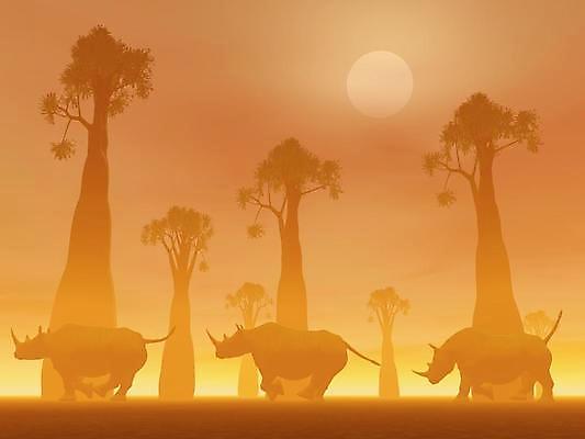 포토 JPG 해외이미지 나무 동물 공원 실루엣 야생동물 백그라운드 오렌지 일러스트 포유류 아프리카 자연 하늘 뿔 풍경 사람없음 야외 달리기 태양 3D 환경 맑음 일몰 회색 사막 안개 주름 위험 큼 사파리 만들기 지역 코뿔소 내추럴 뿌연 사바나 전국 생존 해외202004 해외포토 자연요소 식물 공공시설 나라 컬러 컨셉 과일 모션 날씨 촬영기법 노을 크기 디지털합성 생태계 파일형식 이미지허브