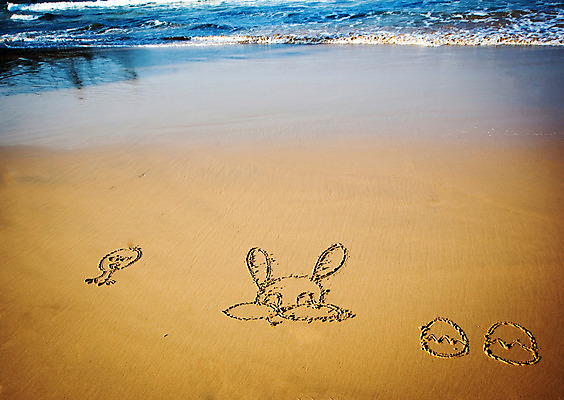 포토 JPG 해외이미지 계절 행복 모래 파도 바다 백그라운드 오렌지 태국 자연 하늘 휴가 부활절 기념 사람없음 장식 초록색 파란색 단어 바구니 우주 계란 보라색 봄 축하 편지 심볼 사인 해외202004 해외포토 문자 기념일 감정 아시아 컬러 컨셉 과일 알 생태계 파일형식 이미지허브