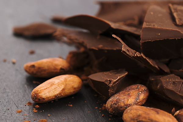 포토 JPG 해외이미지 검은배경 실내 사람없음 초콜릿 카카오 카카오닙스 해외202004 해외포토 백그라운드 디저트 내부 검은색 견과류 파일형식 이미지허브