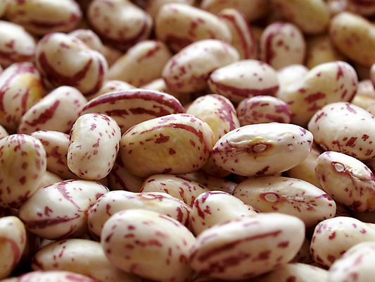 포토 JPG 해외이미지 식물 음식 백그라운드 채소 콩 사람없음 샐러드 신장 수프 완두콩 생물학 대두 바이오 병아리콩 해외202004 해외포토 교육 곡류 비뇨기관 파일형식 이미지허브