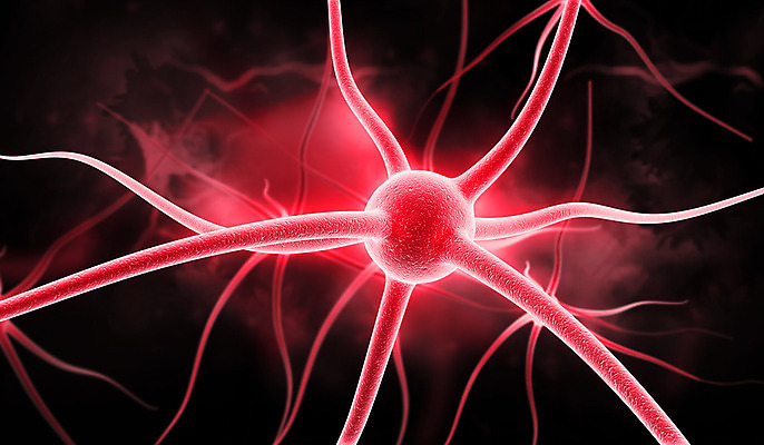 포토 JPG 해외이미지 과학 해부 세포 실내 건강 사람 사람없음 약 3D 건강관리 흐름 에너지 마음 감각 확대 맥박 자르기 불안 뇌 생물학 신호 전자 미생물 시스템 모터 바이오 해외202004 해외포토 교육 감정 컨셉 의학 모션 생물 관리 내부 디지털합성 파일형식 이미지허브