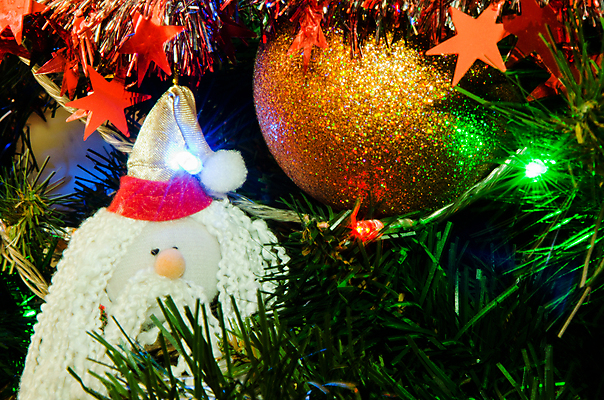 포토 JPG 해외이미지 나무 전통 디자인 커플 행복 백그라운드 크리스마스 겨울 과일 유리 휴가 전등 새로움 프레임 사탕 사람없음 장식 초록색 빛 장난감 화환 흰색 축하 신용카드 화려 황금 연도 심볼 전나무 고립 가문비나무 해외202004 해외포토 식물 계절 기념일 꽃 감정 컬러 컨셉 관계 재질 디저트 조명 금융 파일형식 이미지허브