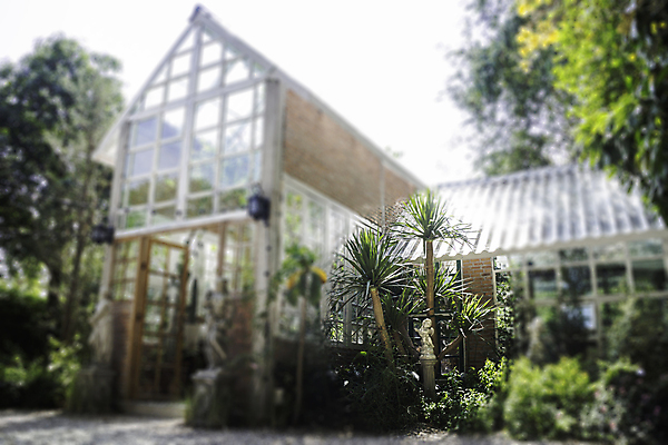 포토 JPG 해외이미지 나무 식물 라이프스타일 디자인 외관 화분 단풍 잎 밭 태국 자연 탁자 추상 사람없음 야외 장식 초록색 환경 식당 정원 카페 작음 책상 삼림지대 해외202004 해외포토 아시아 컬러 가구 무늬 농업 생활 상점 숲 크기 생태계 파일형식 이미지허브