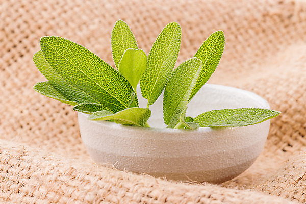 포토 JPG 해외이미지 식물 라이프스타일 음식 백그라운드 잎 신체 채소 재료 자연 유리 휴식 건강 요리 사람없음 치료 초록색 약 주방 정원 나뭇가지 신선 마사지 양념 다발 허브 향수 향신료 유기농 매움 향기 아로마 향 아로마테라피 테라피 내추럴 돌봄 세이지 에센스 해외202004 해외포토 나무 웰빙 컬러 컨셉 의학 모션 재질 생활 뷰티 화장품 맛 생태계 냄새 향미료 파일형식 이미지허브