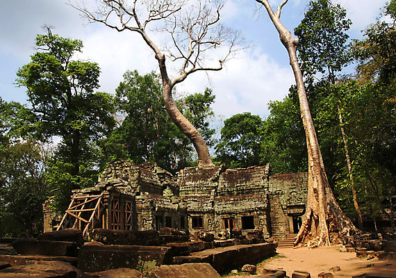포토 JPG 해외이미지 나무 아시아 종교 문화 여행 불교 건축양식 동양인 사람없음 건물 세계 여행객 사찰 역사 재산 큼 땅 명상 뿌리 캄보디아 기념물 거인 목각 천연기념물 보호구역 숭배 옛날 인도차이나반도 파멸 힌두교 해외202004 해외포토 식물 건축물 건축 나라 컨셉 종교건축 사람 인종 금융 크기 구역 파일형식 소멸 이미지허브