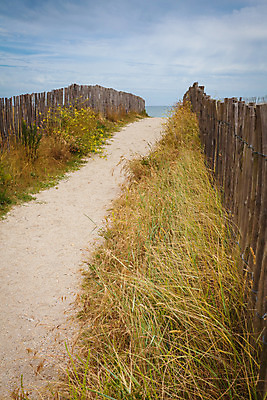 포토 JPG 해외이미지 유럽 길 모래 바다 여행 자연 하늘 풍경 사람없음 목재 초록색 물 여름 파란색 프랑스 오솔길 모래언덕 대서양 해외202004 해외포토 자연요소 나무 계절 나라 컬러 재료 언덕 생태계 파일형식 이미지허브