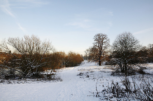포토 JPG 해외이미지 나무 계절 공원 크리스마스 겨울 밭 자연 하늘 날씨 풍경 사람없음 야외 냉동 얼음 추위 흰색 시골 12월 서리 장면 1월 내추럴 2월 폭설 눈내림 해외202004 해외포토 자연요소 식물 공공시설 기념일 컬러 농업 눈_날씨 날짜 자연재해 생태계 파일형식 이미지허브
