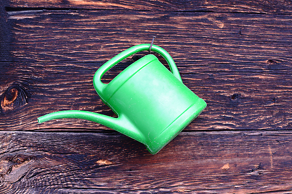 포토 JPG 해외이미지 식물 꽃 벽 꽃무늬 농업 자연 사람없음 목재 장식 초록색 물 농장 정원 장비 흰색 공구 못 캔 컨테이너 플라스틱 삽 양동이 오브젝트 물주기 싱글 원예 질감 옛날 해외202004 해외포토 자연요소 나무 산업 컬러 무늬 재료 모션 재질 취미 도구 생태계 파일형식 이미지허브