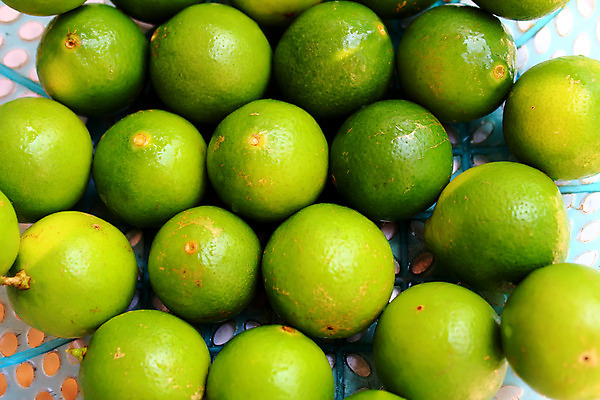 포토 JPG 해외이미지 음식 조각 백그라운드 과일 재료 텍스트 탁자 귤 프레임 건강 사람없음 목재 초록색 파란색 갈색 쌓기 바구니 공백 신선 그룹 닫기 먹기 레몬 유기농 날것 슬라이스 슛 라임 흙더미 내추럴 모히토 숙성 옛날 이국적 많음 해외202004 해외포토 나무 웰빙 컬러 가구 컨셉 모션 흙 칵테일 파일형식 더미 이미지허브