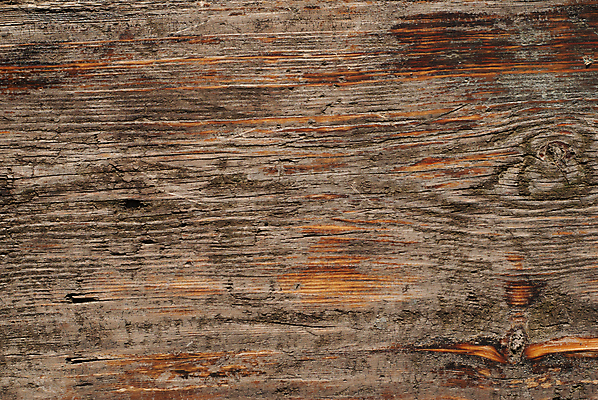 포토 JPG 해외이미지 나무 백그라운드 패턴 자연 표면 날씨 바닥 사람없음 목재 수확 시골 판넬 질감 내추럴 그런지 깨짐 수목 옛날 해외202004 해외포토 식물 컨셉 무늬 농업 재료 생태계 파일형식 이미지허브