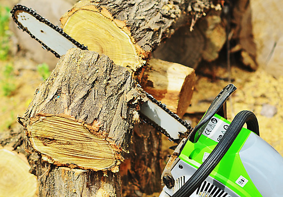 포토 JPG 해외이미지 나무 직업 손 산업 포즈 자연 노동자 수염 사람 성인 사람없음 야외 목재 빛 갈색 힘 기계 일몰 장비 공구 소나무 업무 칼날 숲 헬멧 장작 자르기 통나무 먼지 도끼 잡동사니 벌목 솜씨 수목 재주꾼 전기톱 톱밥 해외202004 해외포토 식물 컬러 재료 모션 신체부위 노을 도구 작업 보호장비 가루 생태계 톱 파일형식 이미지허브