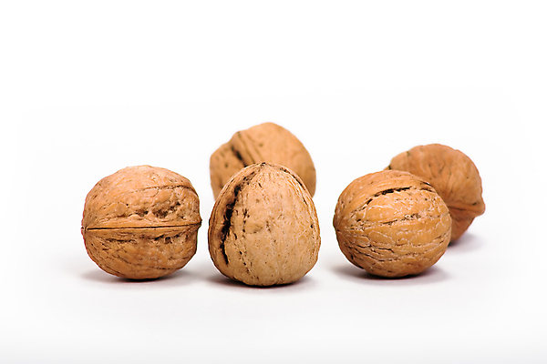 포토 JPG 해외이미지 사람없음 견과류 호두 해외포토 파일형식 이미지허브