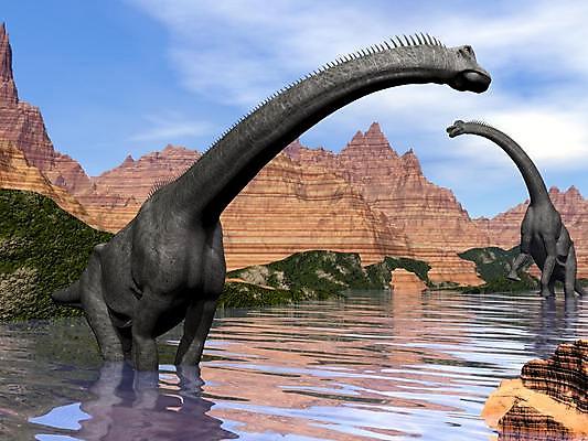 포토 JPG 해외이미지 동물 척추동물 호수 야생동물 파충류 아프리카 하늘 산 사람없음 물 파란색 강 3D 디지털 사막 공룡 북쪽 고생물 선사시대 발톱 쥬라기 해외202004 해외포토 자연요소 나라 컬러 발 생물 역사 방향 디지털합성 파일형식 이미지허브