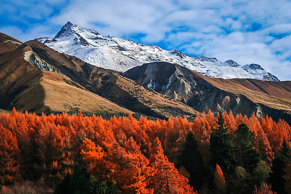 포토 JPG 해외이미지 나무 구름 섬 겨울 오렌지 자연 하늘 새로움 산 풍경 경사 사람없음 야외 빨간색 파란색 컬러풀 햇빛 갈색 우주 맑음 침묵 놀람 가을 흰색 소나무 오픈 정상 숲 알프스 격려 남쪽 절정 해외202004 해외포토 자연요소 식물 계절 감정 유럽 컬러 컨셉 과일 모션 날씨 표정 태양 소리 방향 생태계 파일형식 이미지허브