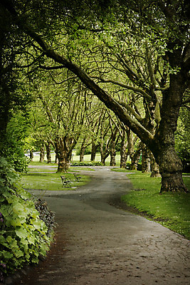 포토 JPG 해외이미지 나무 공원 길 벤치 휴식 사람없음 초록색 정원 도시 벤쿠버 해외202004 해외포토 식물 공공시설 컬러 컨셉 의자 파일형식 이미지허브