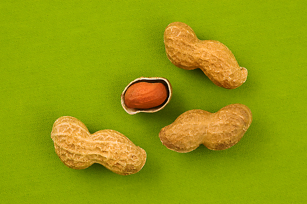 포토 JPG 해외이미지 음식 백그라운드 자연 건강 씨앗 사람없음 가로 초록색 갈색 견과류 껍질 먹기 알맹이 땅콩 고립 땅바닥 핵심 해외202004 해외포토 식물 컬러 모션 바닥 생태계 파일형식 이미지허브