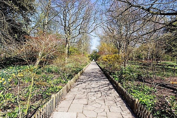 포토 JPG 해외이미지 나무 공원 꽃 도로 길 단풍 잎 자연 풍경 사람없음 야외 초록색 컬러풀 정원 산책 덮개 도시 고독 숲 오솔길 장면 방법 해외202004 해외포토 식물 공공시설 감정 컬러 교통시설 휴식 뚜껑 생태계 파일형식 이미지허브