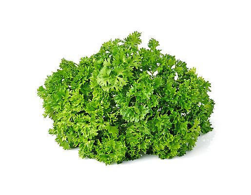 포토 JPG 해외이미지 식물 음식 백그라운드 잎 채소 재료 자연 파슬리 건강 사람없음 초록색 흰색 나뭇가지 신선 고명 맛 다발 먹기 허브 오브젝트 유기농 향 내추럴 고립 채식주의자 해외202004 해외포토 나무 웰빙 컬러 컨셉 모션 생태계 채식 파일형식 이미지허브