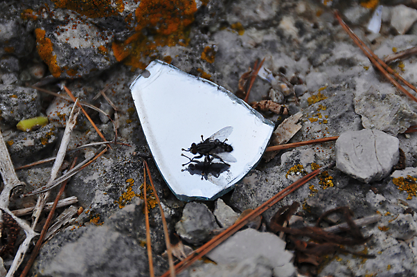 포토 JPG 해외이미지 모델 지구 사람없음 반사 화장품 거울 탐험 파편 손목시계 깨짐 해외202004 해외포토 시계 컨셉 장신구 뷰티 파일형식 이미지허브