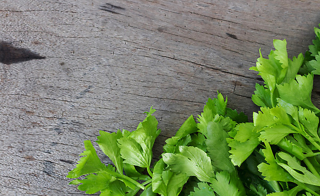 포토 JPG 해외이미지 음식 줄기 백그라운드 잎 농업 다이어트 채소 재료 자연 건강 요리 사람없음 초록색 샐러드 신선 막대기 맛 다발 먹기 허브 유기농 날것 뿌리 내추럴 고립 채식주의자 해외202004 해외포토 식물 웰빙 산업 컬러 컨셉 모션 생태계 채식 파일형식 이미지허브