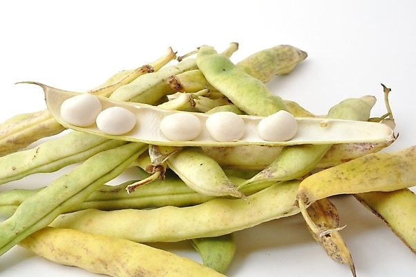 포토 JPG 해외이미지 전통 유럽 음식 채소 콩 사람없음 프랑스 상품 꼬투리 해외202004 해외포토 나라 곡류 파일형식 이미지허브