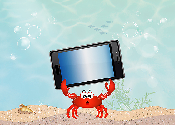 포토 JPG 해외이미지 동물 바다 일러스트 통신 자연 어류 사람없음 물 스마트폰 디지털 스크린 수중 게 원형 투명 연결 전자 수족관 방수 셀룰러 해외202004 해외포토 자연요소 도형 갑각류 핸드폰 스마트기기 수중동물 생태계 파일형식 이미지허브