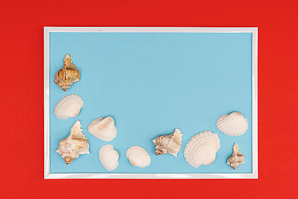 포토 JPG 해외이미지 디자인 별 모래 바다 여행 백그라운드 컨셉 패턴 일러스트 자연 벽지 추상 휴가 조개 불가사리 연체동물 프레임 나선형 미술 해변 사람없음 그래픽 장식 물 컬러풀 검은색 껍질 흰색 신용카드 소라 수집 묘사 질감 가리비 내추럴 고립 이국적 해외202004 해외포토 자연요소 컬러 무늬 문화예술 어패류 극피동물 무척추동물 금융 생태계 파일형식 이미지허브