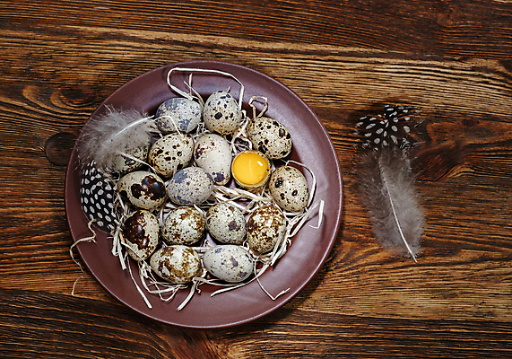 포토 JPG 해외이미지 접시 디자인 음식 백그라운드 패턴 다이어트 재료 자연 조류 건강 사람없음 목재 갈색 계란 봄 수확 흰색 시골 신선 아침식사 상품 작음 유기농 질감 날것 내추럴 메추리 해외202004 해외포토 나무 동물 식기 웰빙 계절 컬러 무늬 농업 알 식사 크기 생태계 파일형식 이미지허브