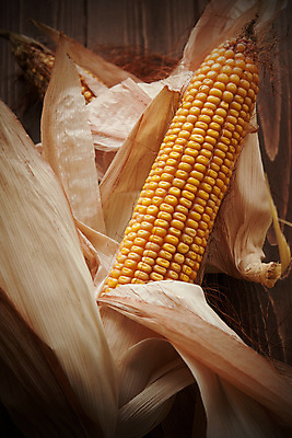 포토 JPG 해외이미지 음식 농업 채소 자연 옥수수 사람없음 농작물 노란색 수확 시골 시리얼 날것 내추럴 바이오 해외202004 해외포토 산업 컬러 곡류 생태계 파일형식 이미지허브