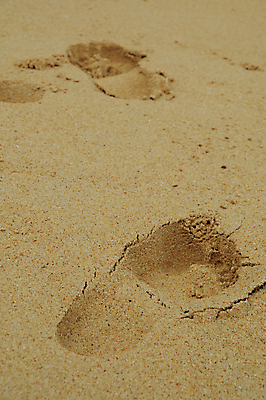 포토 JPG 해외이미지 모래 섬 자국 휴가 사람없음 여름 인쇄 발자국 양발 해외202004 해외포토 계절 파일형식 이미지허브