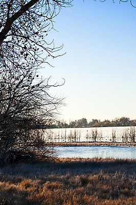 포토 JPG 해외이미지 나무 조류 아침 오리 사람없음 세로 물 사진촬영 가을 연못 해외202004 해외포토 주간 자연요소 식물 동물 계절 촬영 파일형식 이미지허브