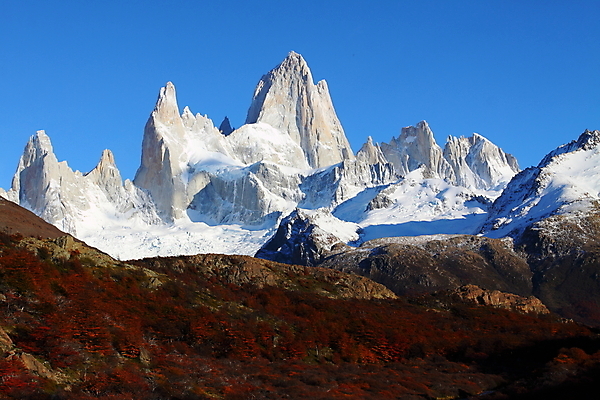 포토 JPG 해외이미지 나무 바다 여행 자연 휴가 산 파노라마 국립공원 풍경 사람없음 목재 물 여름 트래킹 황무지 남아메리카 정상 빙하 칠레 아르헨티나 해외202004 해외포토 자연요소 식물 계절 공원 재료 레저 촬영기법 아메리카 생태계 파일형식 이미지허브