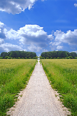 포토 JPG 해외이미지 길 밭 미래 풍경 사람없음 빛 평화 고요 시골 예측 낟알 오솔길 내추럴 방법 해외202004 해외포토 컨셉 농업 파일형식 이미지허브