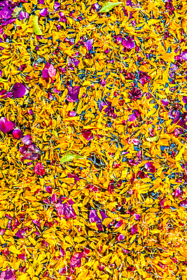 포토 JPG 해외이미지 식물 꽃잎 꽃 감정 종교 백그라운드 오렌지 자연 발렌타인데이 인종 사람없음 장식 물 화환 화목 봄 활발 벚꽃 인사 신선 사찰 개화 영혼 혼합 인도인 배열 명상 데이지 냄새 거인 힌두교 존경 해외202004 해외포토 자연요소 외국인 계절 컨셉 과일 종교건축 데이이벤트 사람 동양인 예절 생태계 파일형식 이미지허브