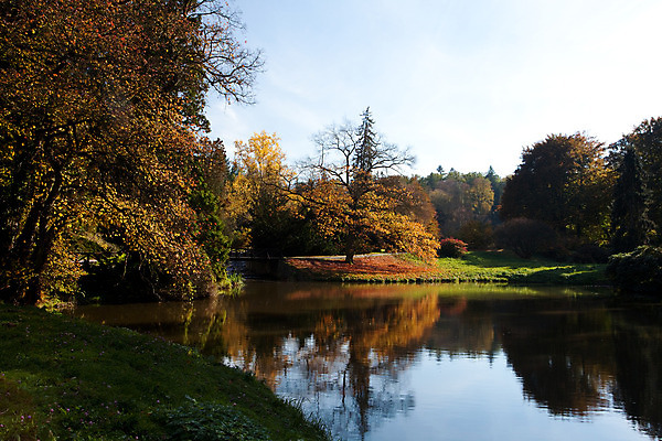 포토 JPG 해외이미지 나무 식물 전통 계절 공원 문화 길 호수 단풍 낙엽 잎 자연 그림자 풍경 사람없음 야외 초록색 물 여름 빛 햇빛 태양 노란색 걷기 환경 침묵 하이킹 가을 나뭇가지 연못 숲 오솔길 장면 멀리 빛망울 10월 멀티 해외202004 해외포토 자연요소 공공시설 컬러 모션 레저 소리 날짜 생태계 파일형식 이미지허브