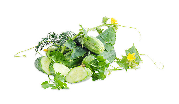 포토 JPG 해외이미지 식물 접시 꽃 음식 줄기 조각 잎 농업 채소 오이 파슬리 요리 사람없음 샐러드 수확 나뭇가지 신선 가시 상품 자르기 고립 딜 채식주의자 해외202004 해외포토 나무 식기 산업 모션 채식 파일형식 이미지허브