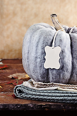 포토 JPG 해외이미지 계절 종이 줄기 백그라운드 잎 탁자 호박 휴가 프레임 사람없음 목재 장식 초록색 파란색 갈색 꼬리표 라벨 공백 할로윈 수확 식탁보 가을 시골 직물 신용카드 메시지 닫기 담요 11월 묶기 오브젝트 사인 냅킨 추수감사절 설정 10월 옛날 정물화 카피스페이스 해외202004 해외포토 나무 식물 기독교 컬러 가구 농업 채소 재료 모션 금융 날짜 그림 파일형식 이미지허브