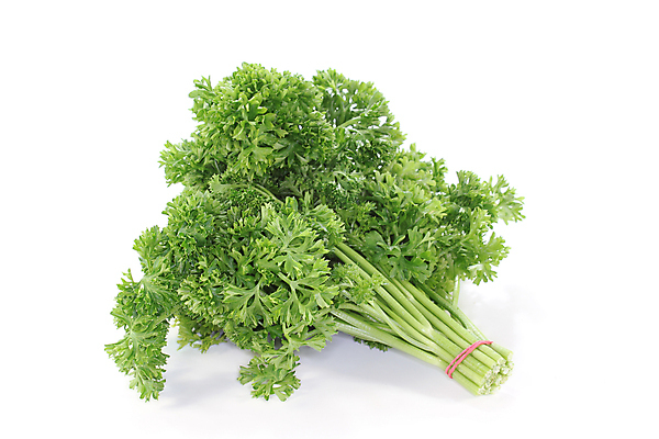 포토 JPG 해외이미지 식물 계절 파슬리 건강 요리 사람없음 초록색 주방 수확 신선 수집 먹기 허브 향신료 향 해외202004 해외포토 컬러 농업 채소 모션 향미료 파일형식 이미지허브