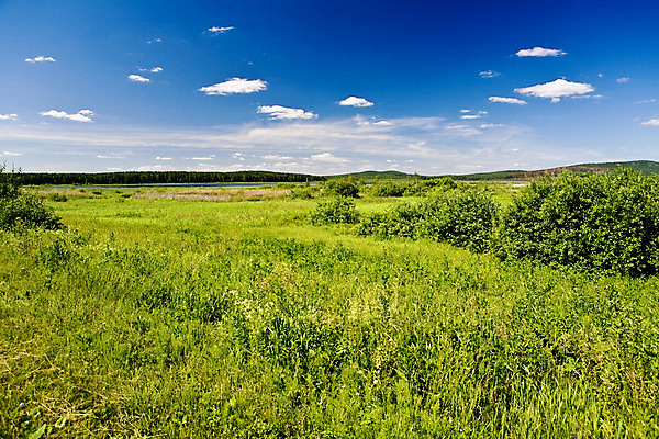 포토 JPG 해외이미지 나무 구름 계절 공원 야생동물 여행 잎 밭 농업 가족 자연 갈대 사람없음 야외 가로 초록색 물 여름 강 여행객 환경 봄 활발 젖음 시골 습지 백합 크루즈 배수구 전국 플로리다 해외202004 해외포토 자연요소 식물 동물 공공시설 꽃 산업 컬러 컨셉 배_교통 관계 사람 미국 생태계 파일형식 이미지허브