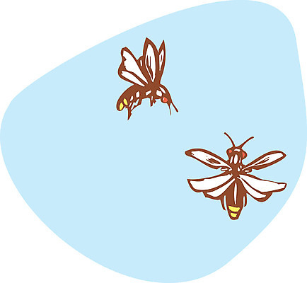 포토 JPG 해외이미지 곤충 날개 사람없음 여름 빛 습기 해충 벌레 번개 해외202004 해외포토 동물 계절 날씨 파일형식 이미지허브