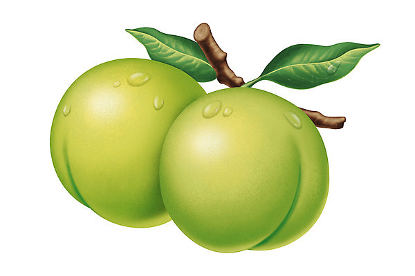 포토 JPG 해외이미지 식물 리플렛 잎 오렌지 일러스트 자연 건강 경사 사람없음 초록색 빛 주스 수확 물방울 나뭇가지 신선 칼날 결과 레몬 자두 건강식 내추럴 고립 광 사실 진실 해외202004 해외포토 나무 음료 음식 컬러 컨셉 농업 과일 생태계 파일형식 이미지허브