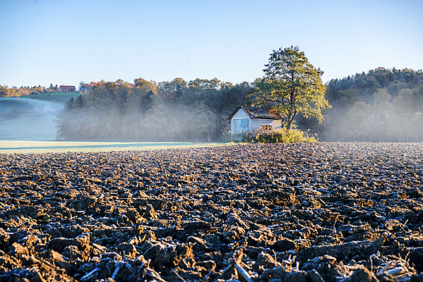 포토 JPG 해외이미지 나무 구름 상징 백그라운드 밭 농업 자연 하늘 아침 지붕 휴가 풍경 사람없음 야외 건물 목재 여름 파란색 농장 일출 목장 안개 시골 구멍 오두막 만취 버리기 헛간 외양간 옛날 판잣집 해외202004 해외포토 주간 자연요소 식물 건축물 계절 산업 컬러 재료 모션 날씨 주택 노을 생태계 저장고 술취함 파일형식 이미지허브