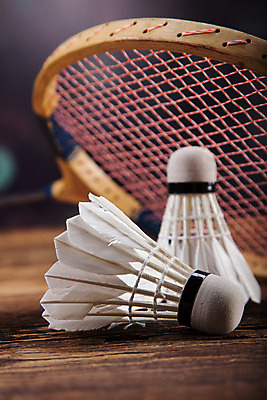 포토 JPG 해외이미지 스튜디오촬영 직업 줄 스포츠용품 스포츠 놀이 휴식 실내 사람없음 세트 컬러풀 장비 수확 게임 라켓 그물 깃털 오브젝트 복고 배드민턴 법정 옛날 토너먼트 해외202004 해외포토 컬러 컨셉 농업 내부 구기 파일형식 이미지허브