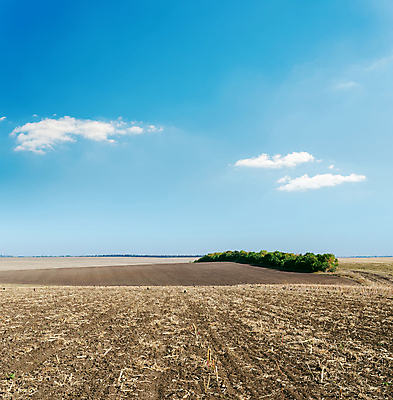 포토 JPG 해외이미지 구름 산업 지구 백그라운드 밭 자연 하늘 표면 추상 풍경 사람없음 야외 파란색 빛 햇빛 농장 농경지 갈색 환경 경작 맑음 검은색 흙 봄 줄무늬 시골 땅 만취 먼지 장면 점토 쟁기 줄서기 평야 수평선 소멸 세련 해외202004 해외포토 자연요소 계절 컬러 무늬 농업 모션 날씨 태양 농사 생태계 술취함 파일형식 이미지허브