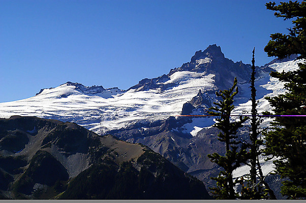 포토 JPG 해외이미지 나무 여행 산 국립공원 풍경 사람없음 야외 하이킹 해외202004 해외포토 식물 공원 레저 파일형식 이미지허브